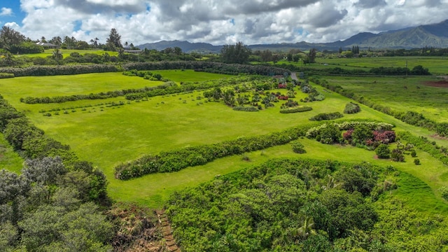 Kauapea Rd, Kilauea, HI 96754 - photo 18