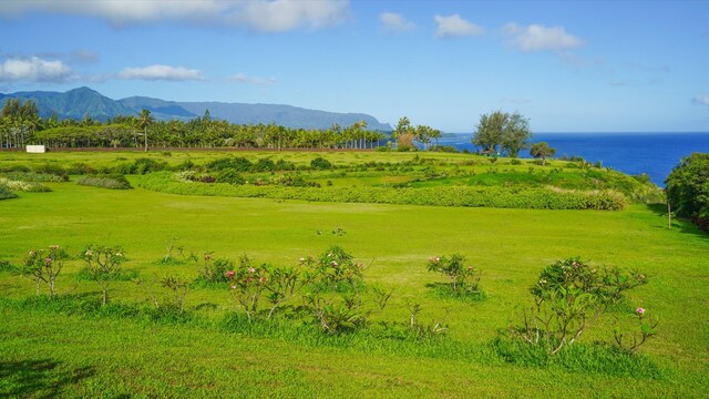Kauapea Rd, Kilauea, HI 96754 - photo 20