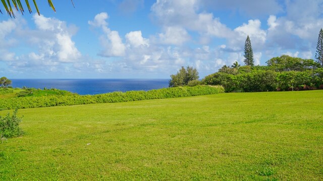 Kauapea Rd, Kilauea, HI 96754 - photo 19
