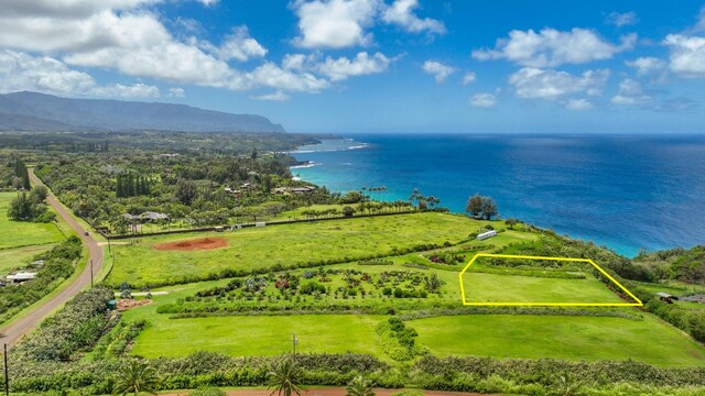Kauapea Rd, Kilauea, HI 96754 - photo 3