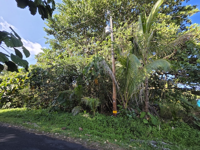 Palani St, Pahoa, HI 96778