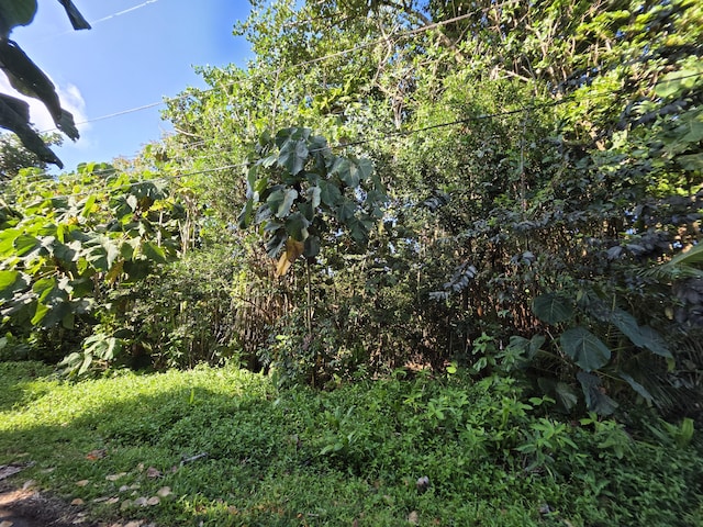 Palani St, Pahoa, HI 96778