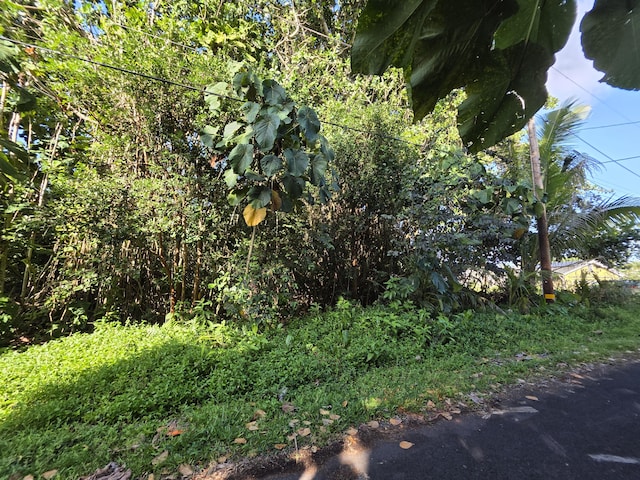 Palani St, Pahoa, HI 96778