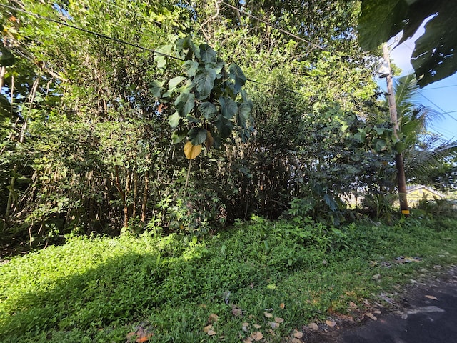 Palani St, Pahoa, HI 96778
