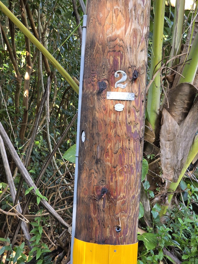 Palani St, Pahoa, HI 96778