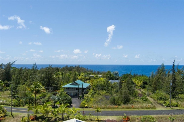 12-138 Oliana Dr, Pahoa, HI 96778 - water view