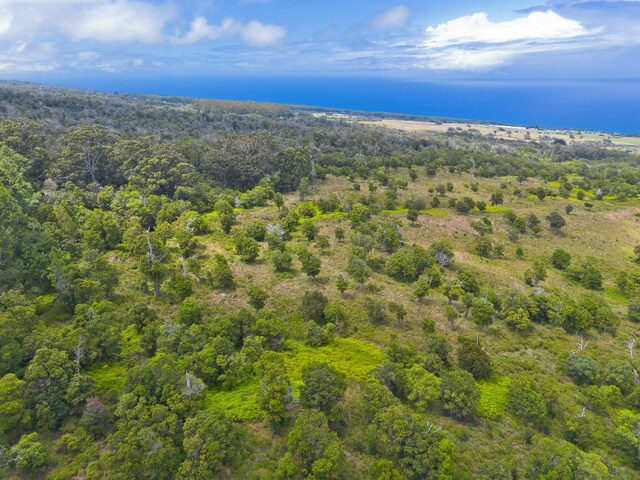 Laupahoehoe, HI 96764