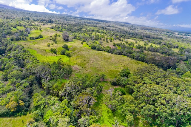 Laupahoehoe, HI 96764