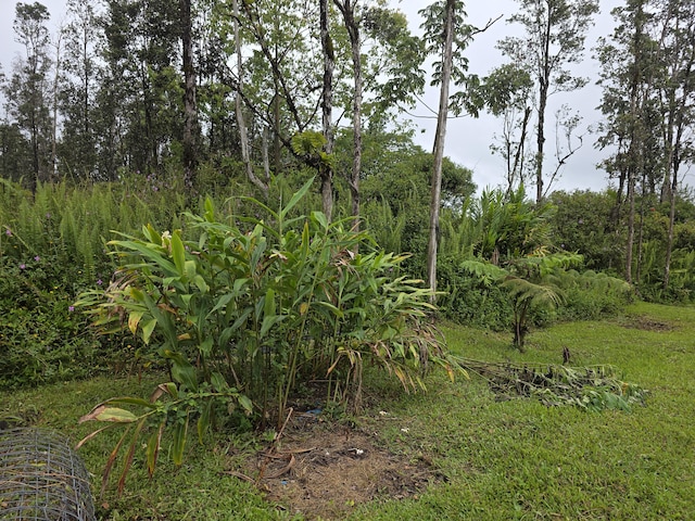 16-2109 Stardust Dr, Pahoa, HI 96778