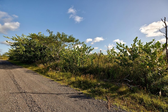 Loke Rd, Keaau, HI 96749