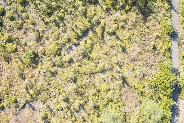 Loke Rd, Keaau, HI 96749