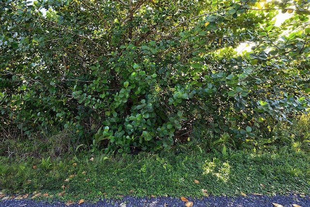 Loke Rd, Keaau, HI 96749