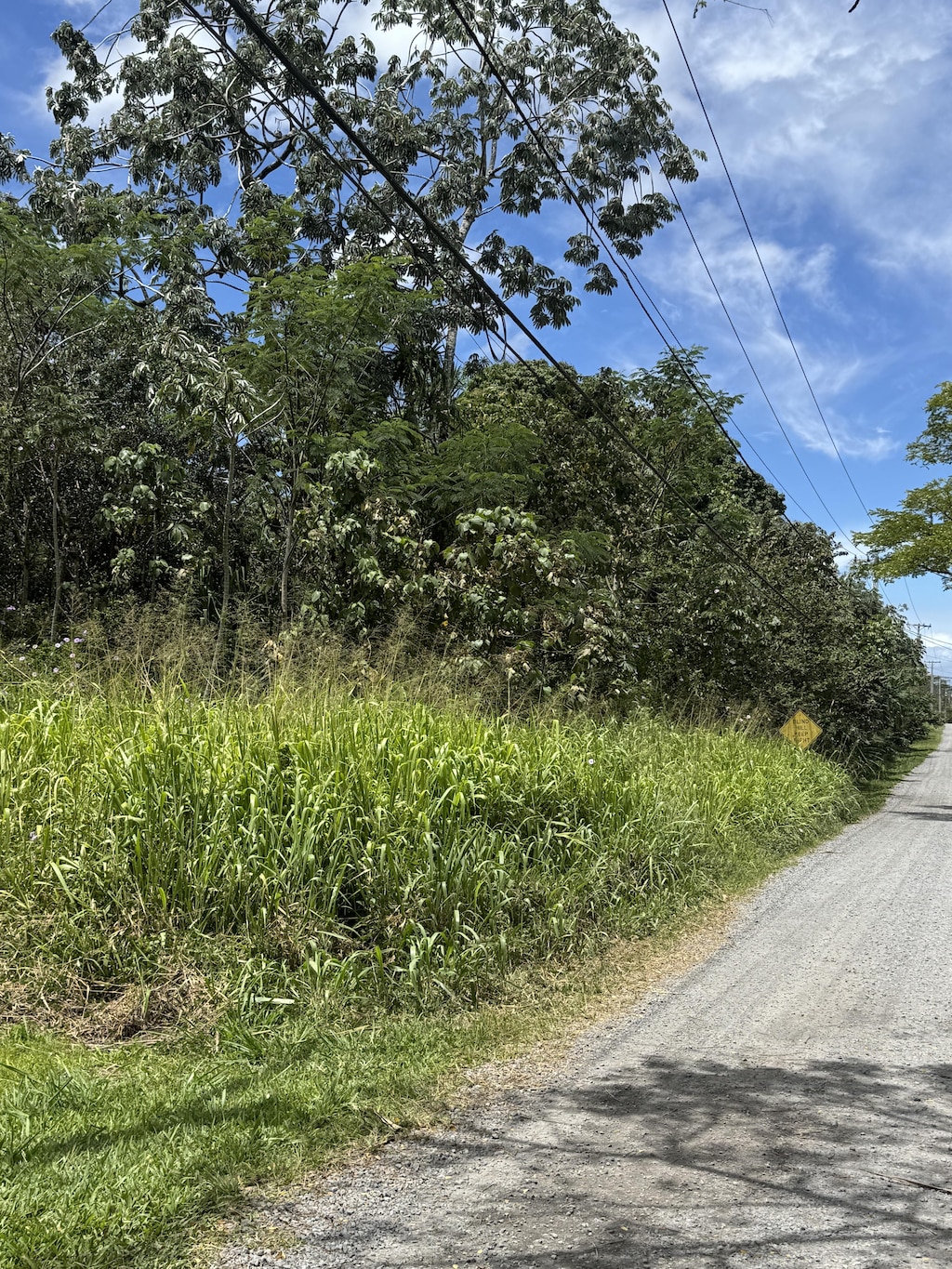 13th Ave, Keaau, HI 96749