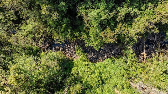 32-520 Piha Kahuku Rd, Ninole, HI 96773 - drone / aerial view