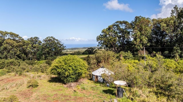 32-520 Piha Kahuku Rd, Ninole, HI 96773 - aerial view