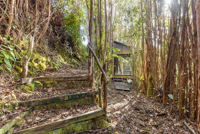 32-520 Piha Kahuku Rd, Ninole, HI 96773 - view of yard