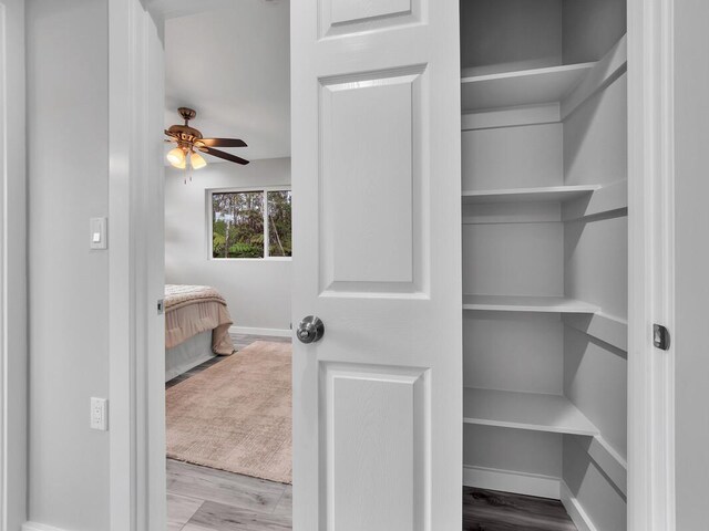 11-3063-A Puolani St, Volcano, HI 96785 - view of closet