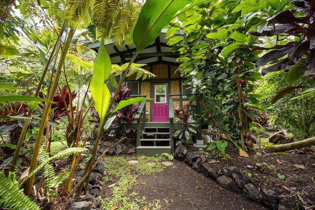 14-3401 Pakalana Rd, Pahoa, HI 96778 - view of exterior entry