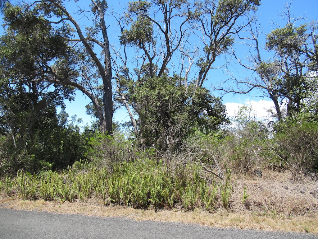 Bamboo Ln, Ocean View, HI 96737