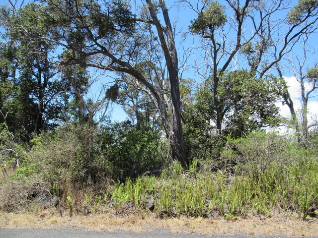 Bamboo Ln, Ocean View, HI 96737