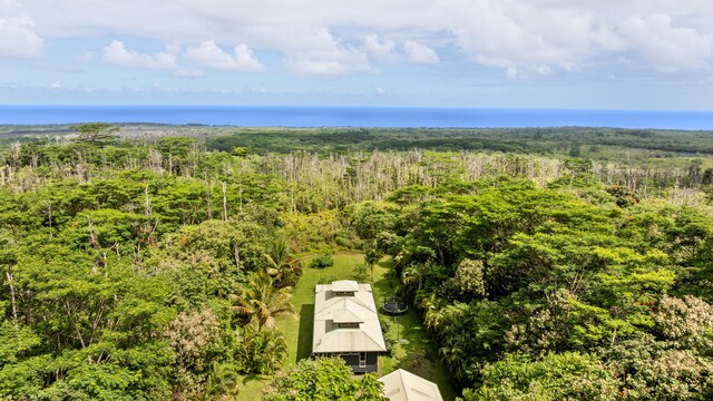 13-831 Malama St, Pahoa, HI 96778 - bird's eye view of a forest