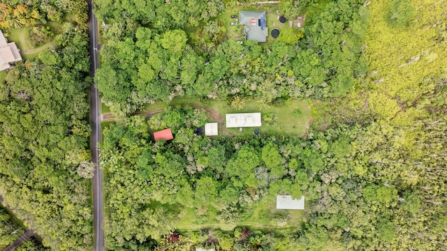 13-831 Malama St, Pahoa, HI 96778 - aerial view of property's location