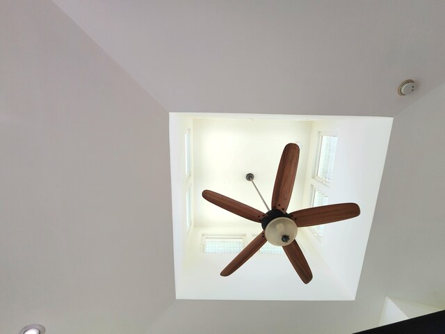 13-831 Malama St, Pahoa, HI 96778 - detailed view of ceiling fan