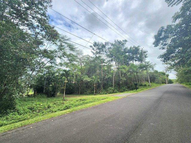13-831 Malama St, Pahoa, HI 96778 - view of asphalt road
