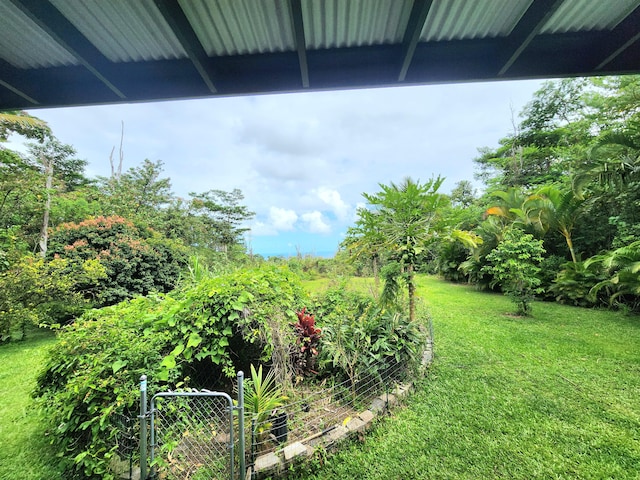 13-831 Malama St, Pahoa, HI 96778 - view of yard