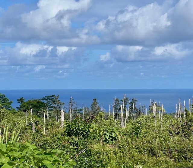 13-831 Malama St, Pahoa, HI 96778 - water view