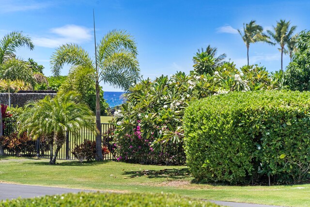69-1000 Kolea Kai Cir Unit 2D, Waikoloa, HI 96738 - view of yard
