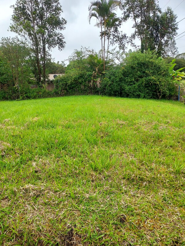 18-4126 Hilohilo St, Mountain View, HI 96771 - photo 11