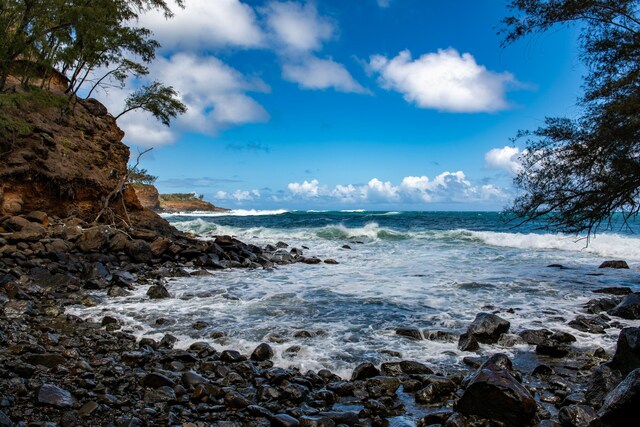 53-4223 Pratt Rd, Kapaau, HI 96755 - photo 14