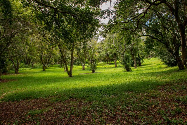 53-4223 Pratt Rd, Kapaau, HI 96755 - photo 24