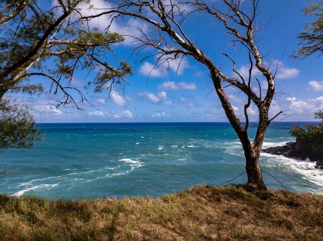 53-4223 Pratt Rd, Kapaau, HI 96755 - photo 30