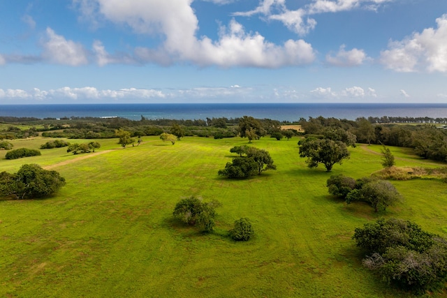 53-4223 Pratt Rd, Kapaau, HI 96755 - photo 1