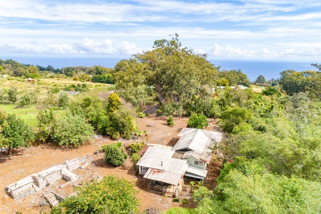 44-3275 Hoo Kahua Rd, Honokaa, HI 96727 - view from above of property