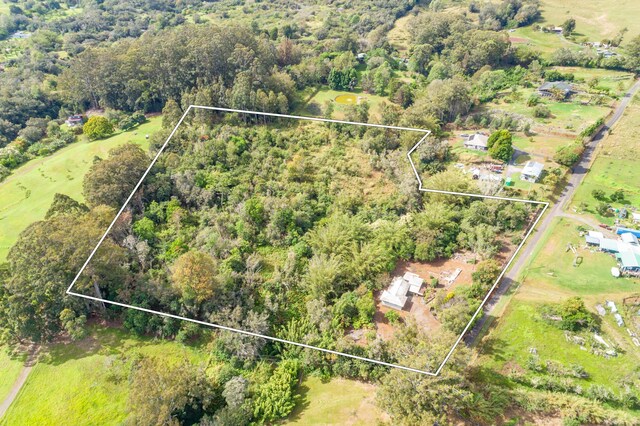 44-3275 Hoo Kahua Rd, Honokaa, HI 96727 - view of property location featuring property parcel outlined and a heavily wooded area