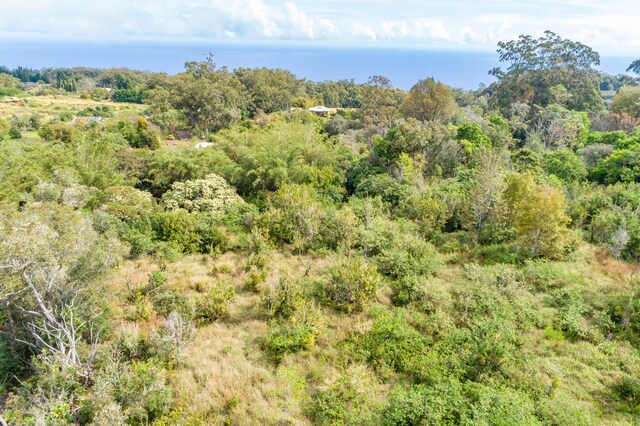 44-3275 Hoo Kahua Rd, Honokaa, HI 96727 - view of tree filled area