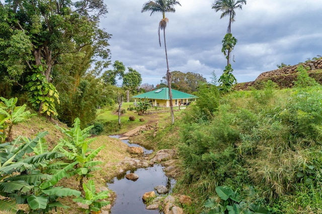 48-5319 Kukuihaele Rd, Honokaa, HI 96727 - view of yard