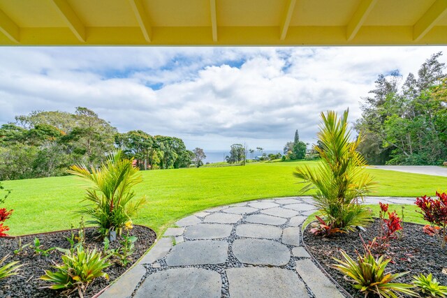 48-5319 Kukuihaele Rd, Honokaa, HI 96727 - view of green lawn