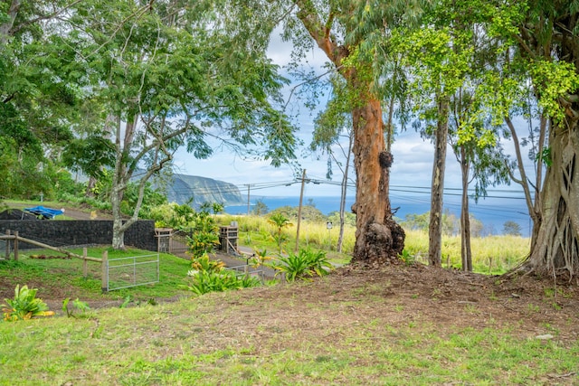 48-5319 Kukuihaele Rd, Honokaa, HI 96727 - view of yard