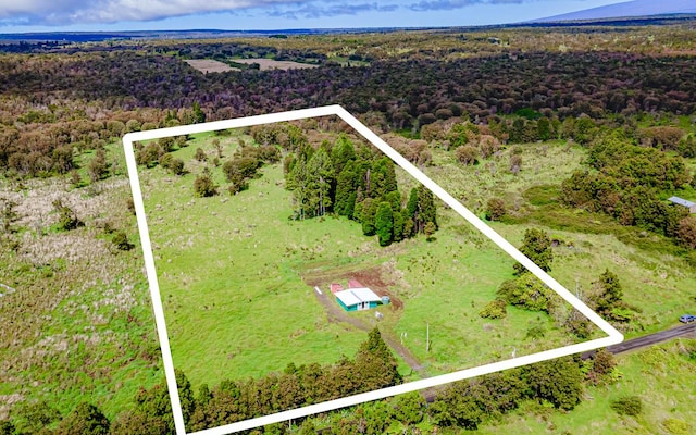 Glenwood Rd, Off Of Volcano, HI 96785 - photo 13