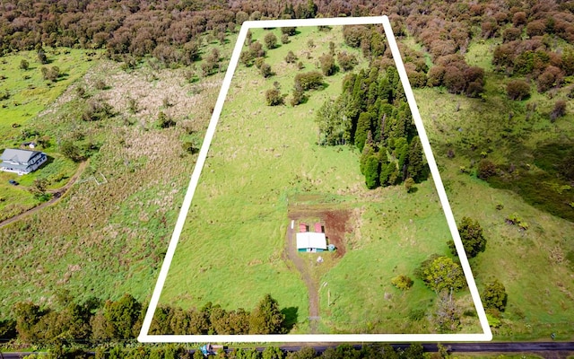 Glenwood Rd, Off Of Volcano, HI 96785 - photo 15