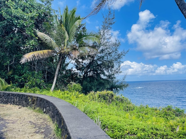 12-7026 Wehelauniu St, Pahoa, HI 96778 - view of property's community with a water view