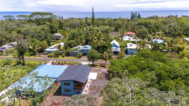 15-2792 Opae St, Pahoa, HI 96778 - bird's eye view of a large body of water