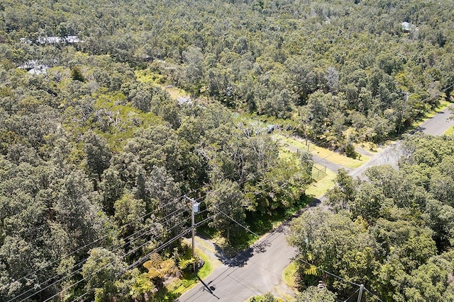 Liona St Lot 53-8-138, Volcano, HI 96785