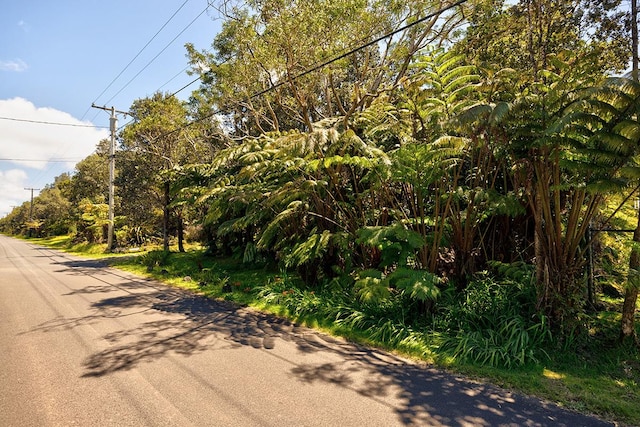 Liona St Lot 53-8-138, Volcano, HI 96785