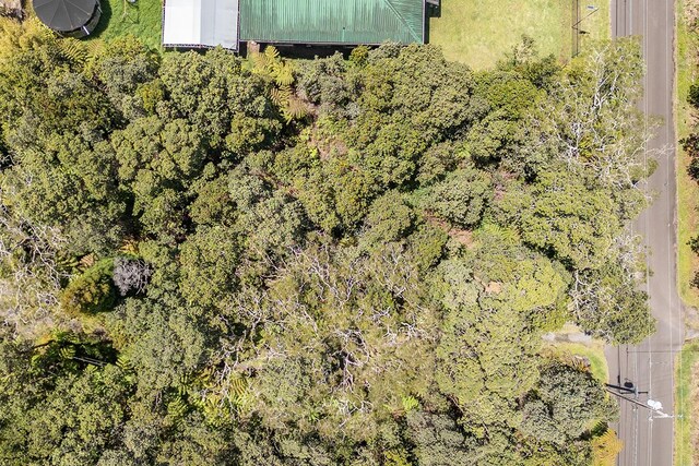 Liona St Lot 53-8-138, Volcano, HI 96785