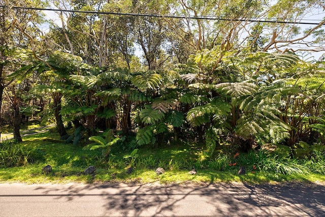 Liona St Lot 53-8-138, Volcano, HI 96785